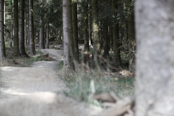 Bikepark Winterberg